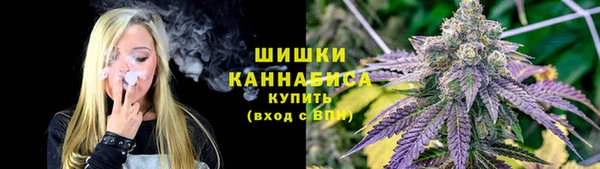 ALPHA-PVP Осинники