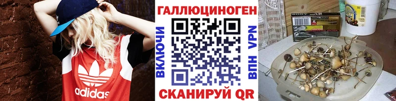 Псилоцибиновые грибы ЛСД  как найти закладки  сайты даркнета состав  Колпашево 